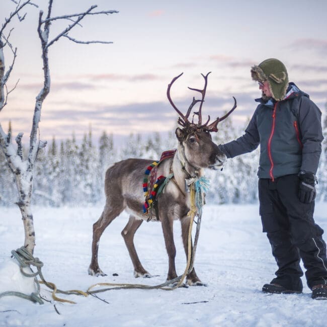 Reindeer safari IBG Travel