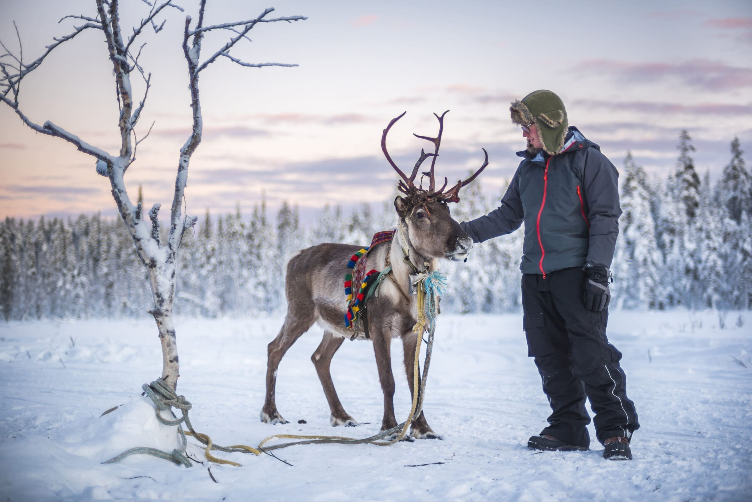 Reindeer safari IBG Travel