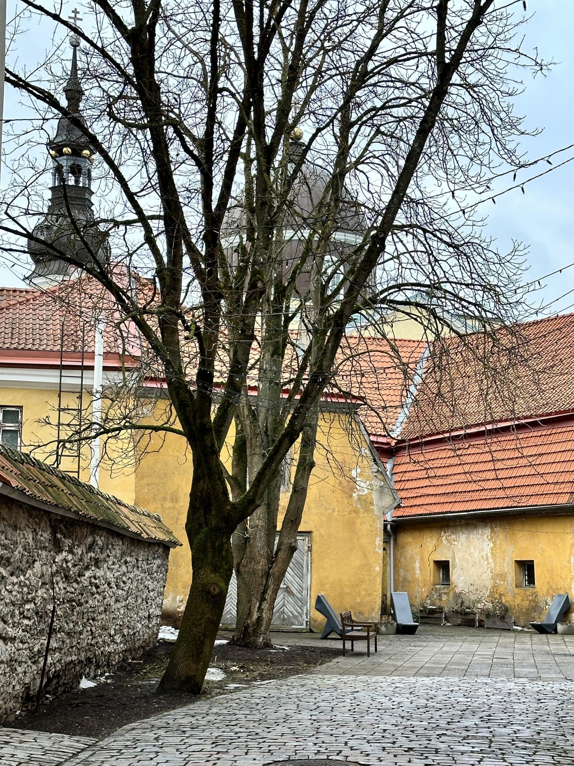 Sightseeing tours in Tallinn with IBG Travel