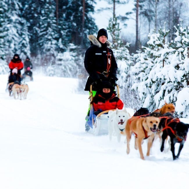 Lapland activities with IBG Travel