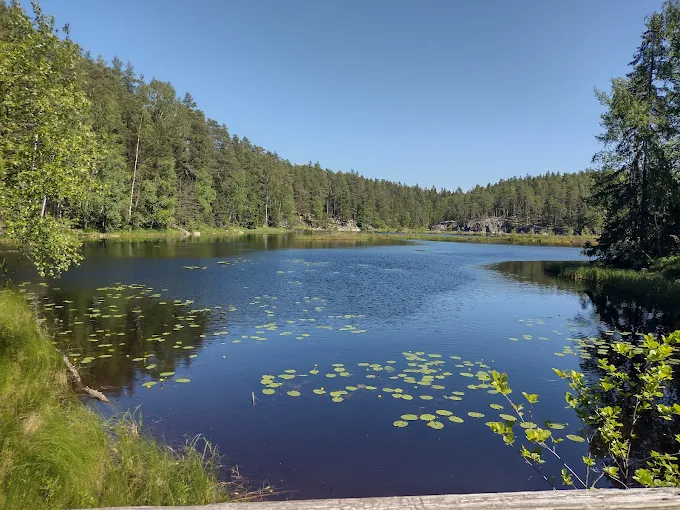 Tours to Nuuksio National park by IBG Travel